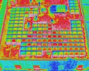 440336776_735385972118728_6095092850828852608_n-2-1716555138