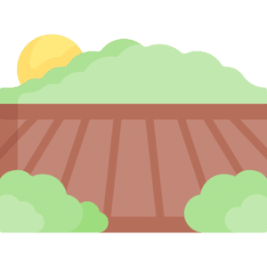 Terreno baldío