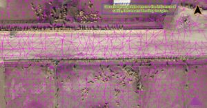 07TIN_diagram_low_points_under_cattle-1717887332