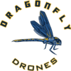 Libélula D