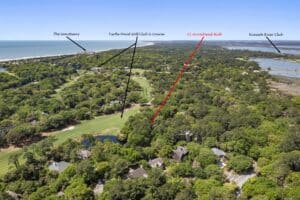 Disparo de dron del bosque 2