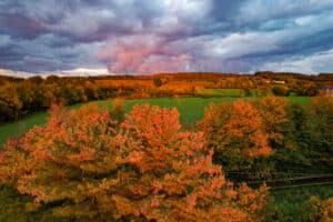 Imágenes de drones de la naturaleza 4