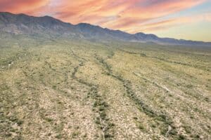 Disparo de dron de naturaleza