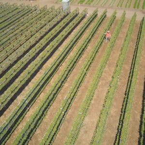 Monitoreo de drones Agricultura 4