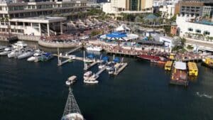 Imágenes aéreas-tampa-florida-drone-vet-1728755188