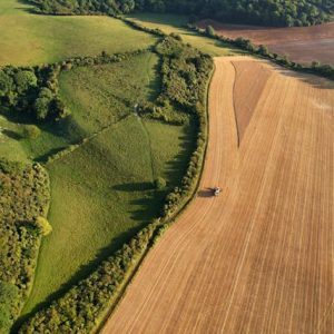 Servicios de creación de contornos y mapas en TN por Drone Link