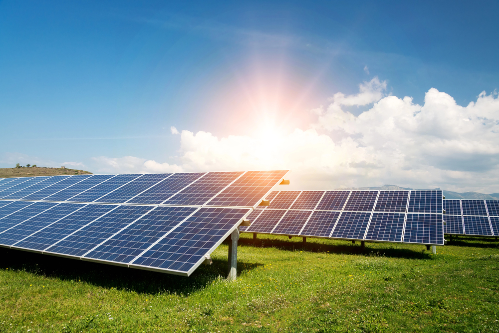 Una imagen del suelo de una toma de una granja solar