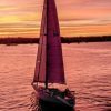 bote