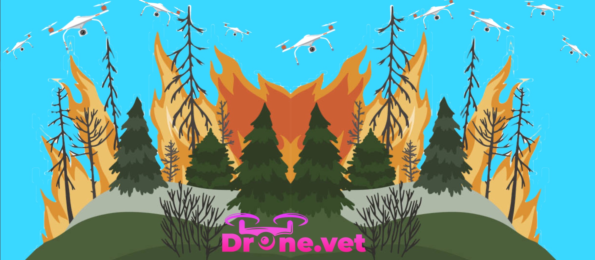 Tecnología de drones en la prevención de incendios forestales: métodos avanzados de evaluación del riesgo de incendio
