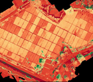 Agricultura de precisión y gestión de tierras en Hawái utilizando tecnología avanzada de drones.