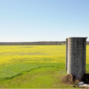 Fotografía agrícola con drones en Alabama por Aerial Scouts LLC