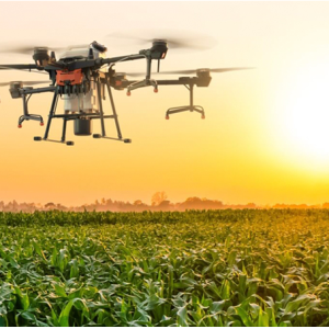 Los drones que realizan inspecciones agrícolas mejoran la eficiencia del monitoreo de cultivos y el análisis de datos.